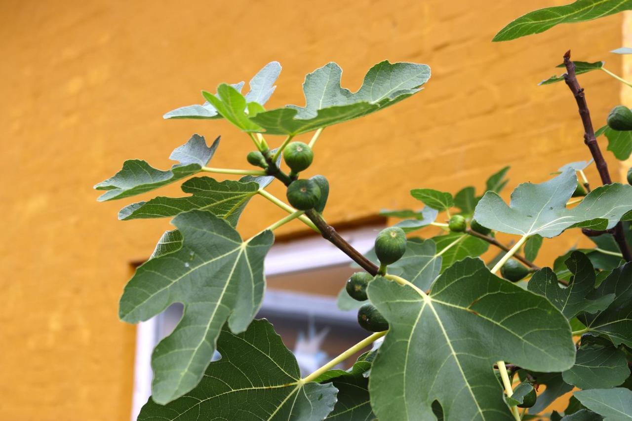 Kanns Hotel Åkirkeby Kültér fotó